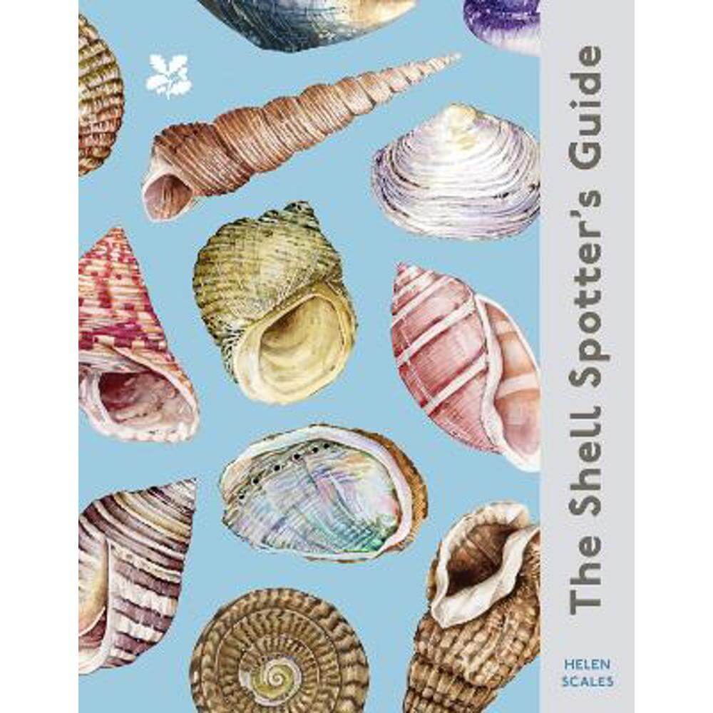 The Shell Spotter's Guide (National Trust) (Hardback) - Helen Scales